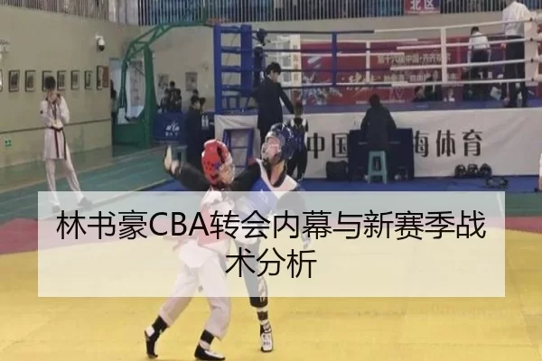 林书豪CBA转会内幕与新赛季战术分析