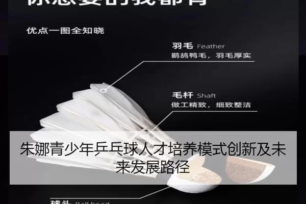 朱娜青少年乒乓球人才培养模式创新及未来发展路径